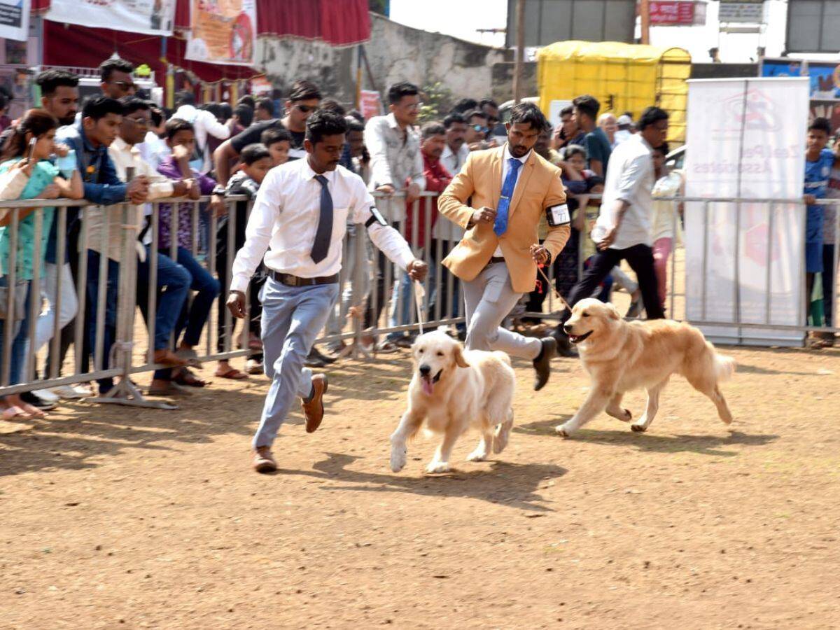 SAP Kolhapur gallery photo 5