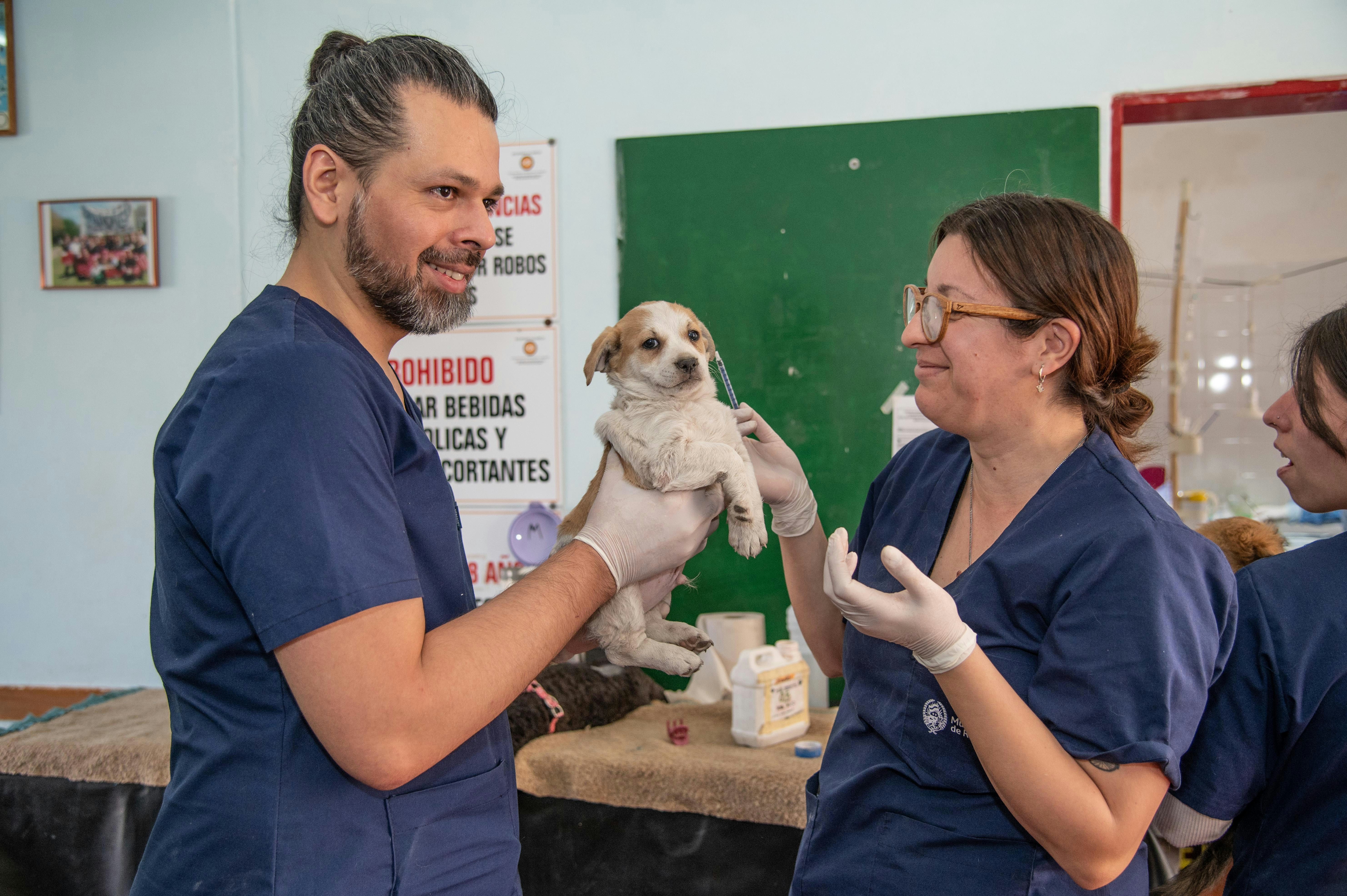 Pet clinic animal care