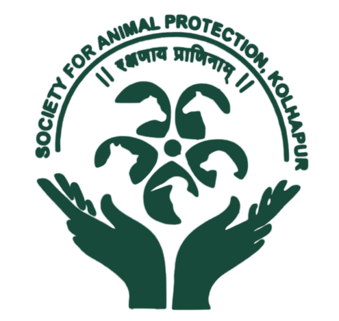 SAP Kolhapur Logo